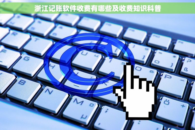 浙江记账软件收费有哪些及收费知识科普