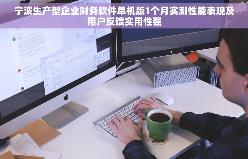 宁波生产型企业财务软件单机版1个月实测性能表现及用户反馈实用性强