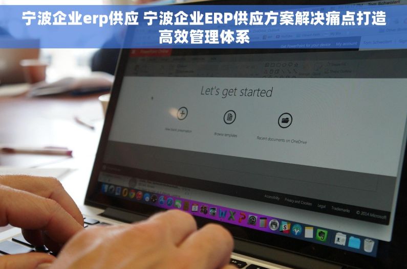 宁波企业erp供应 宁波企业ERP供应方案解决痛点打造高效管理体系