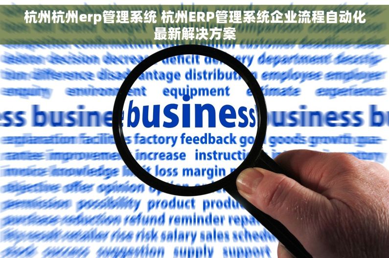 杭州杭州erp管理系统 杭州ERP管理系统企业流程自动化最新解决方案