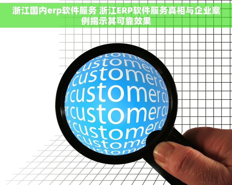 浙江国内erp软件服务 浙江ERP软件服务真相与企业案例揭示其可靠效果