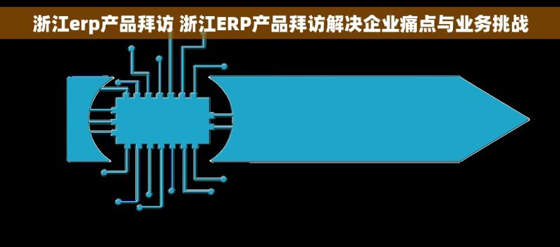 浙江erp产品拜访 浙江ERP产品拜访解决企业痛点与业务挑战