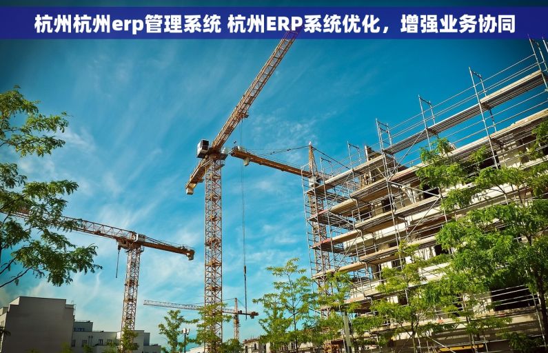 杭州杭州erp管理系统 杭州ERP系统优化，增强业务协同
