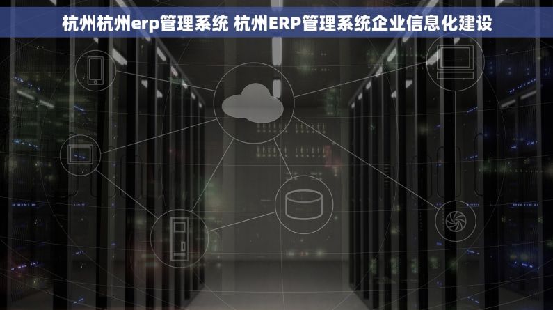杭州杭州erp管理系统 杭州ERP管理系统企业信息化建设
