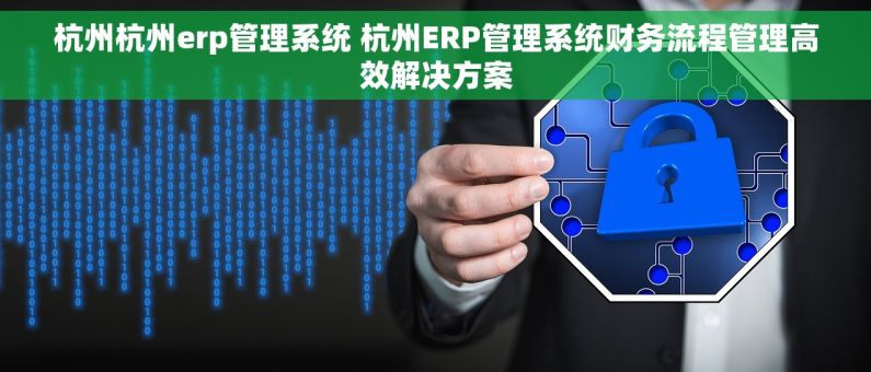 杭州杭州erp管理系统 杭州ERP管理系统财务流程管理高效解决方案