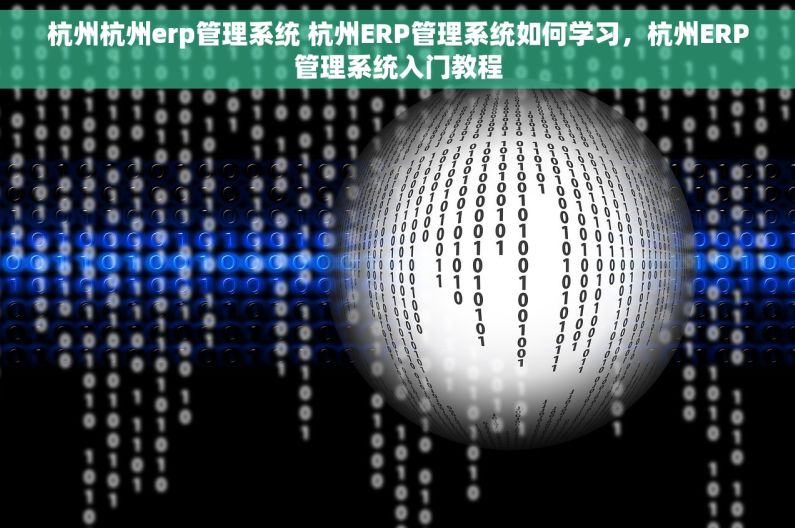 杭州杭州erp管理系统 杭州ERP管理系统如何学习，杭州ERP管理系统入门教程