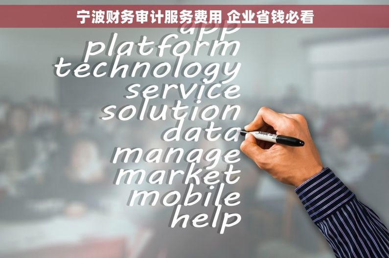 宁波财务审计服务费用 企业省钱必看