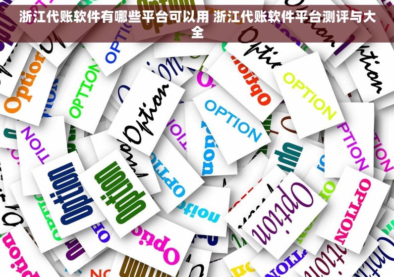浙江代账软件有哪些平台可以用 浙江代账软件平台测评与大全