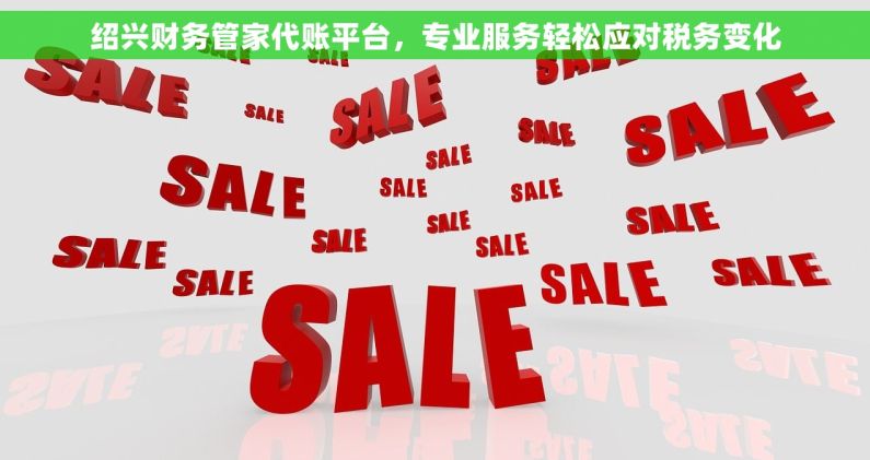 绍兴财务管家代账平台，专业服务轻松应对税务变化