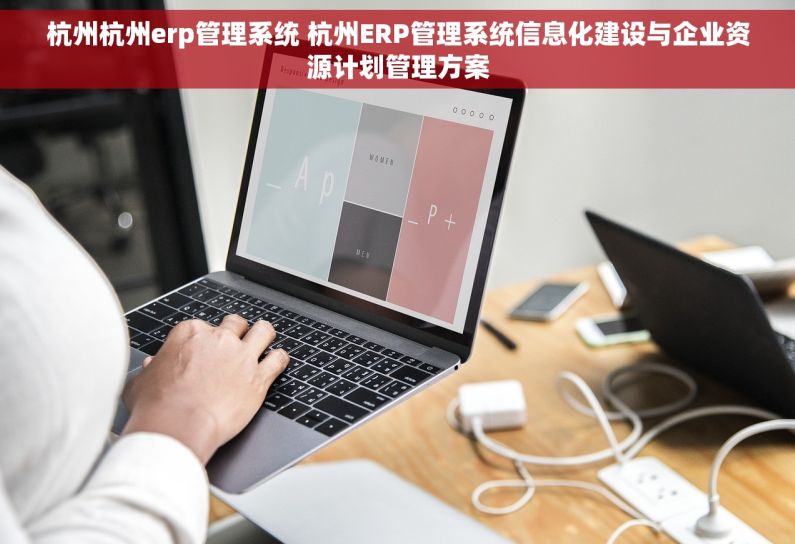 杭州杭州erp管理系统 杭州ERP管理系统信息化建设与企业资源计划管理方案