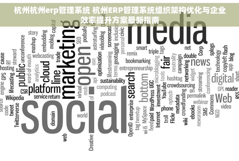 杭州杭州erp管理系统 杭州ERP管理系统组织架构优化与企业效率提升方案最新指南