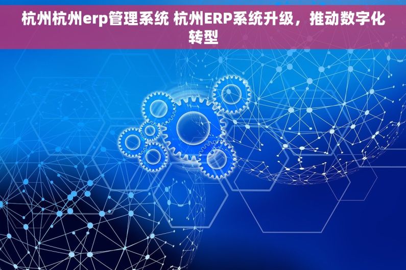 杭州杭州erp管理系统 杭州ERP系统升级，推动数字化转型