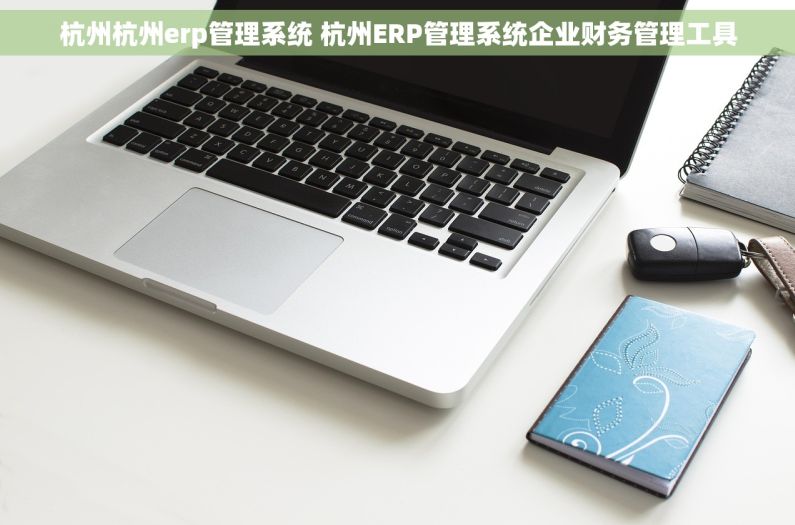 杭州杭州erp管理系统 杭州ERP管理系统企业财务管理工具