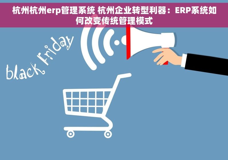 杭州杭州erp管理系统 杭州企业转型利器：ERP系统如何改变传统管理模式