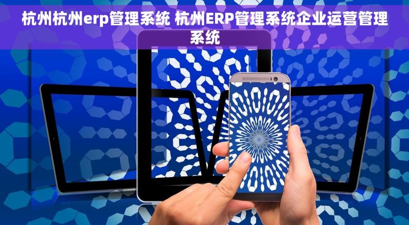 杭州杭州erp管理系统 杭州ERP管理系统企业运营管理系统