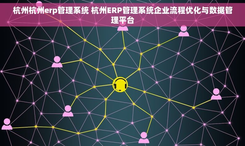 杭州杭州erp管理系统 杭州ERP管理系统企业流程优化与数据管理平台