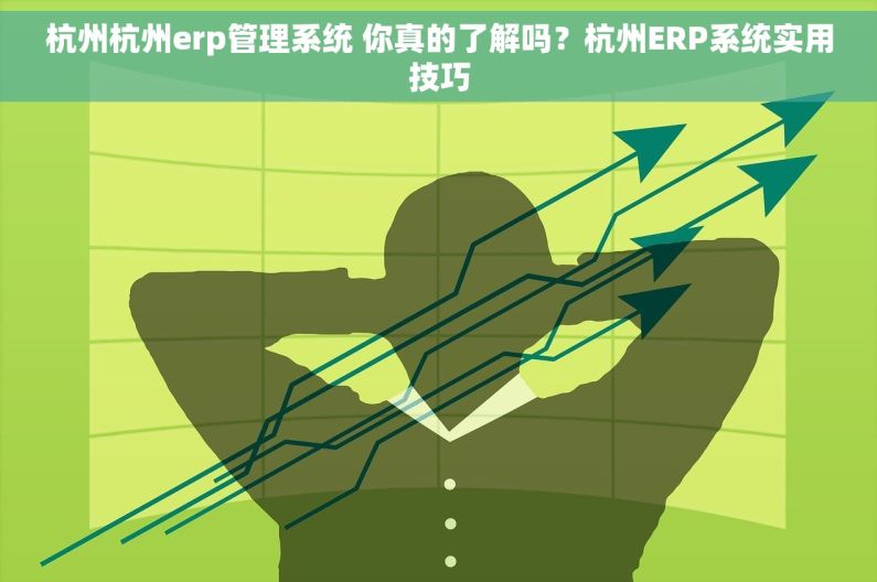 杭州杭州erp管理系统 你真的了解吗？杭州ERP系统实用技巧