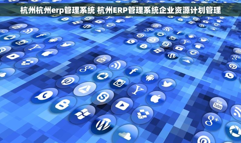 杭州杭州erp管理系统 杭州ERP管理系统企业资源计划管理