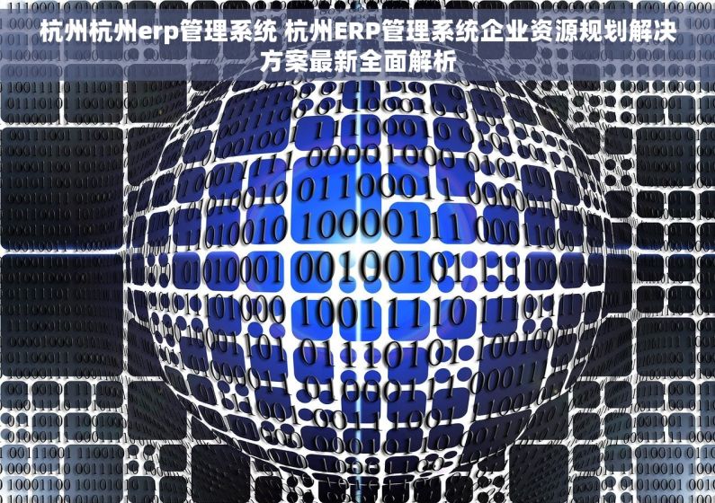 杭州杭州erp管理系统 杭州ERP管理系统企业资源规划解决方案最新全面解析