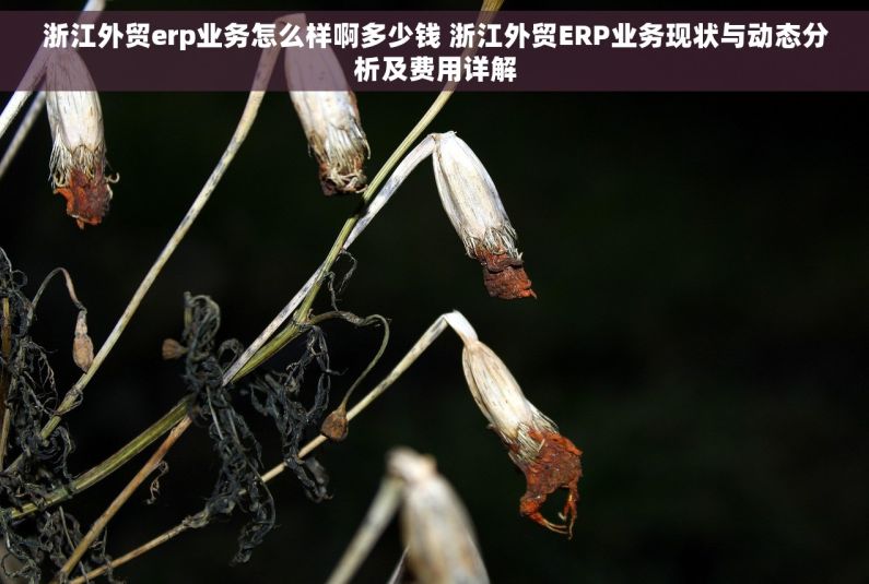 浙江外贸erp业务怎么样啊多少钱 浙江外贸ERP业务现状与动态分析及费用详解