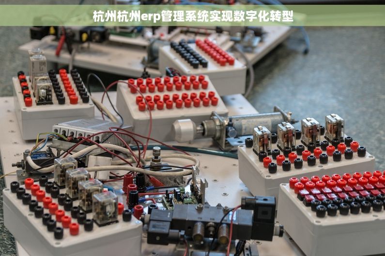 杭州杭州erp管理系统实现数字化转型