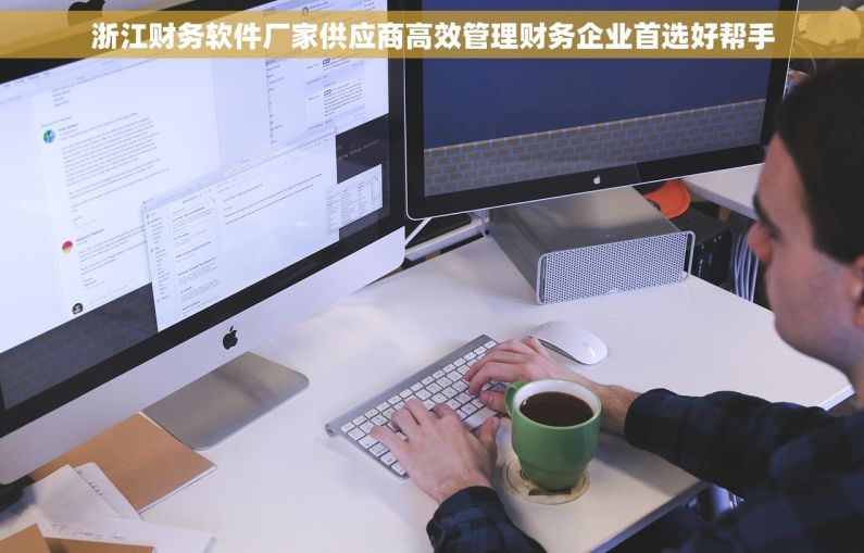 浙江财务软件厂家供应商高效管理财务企业首选好帮手