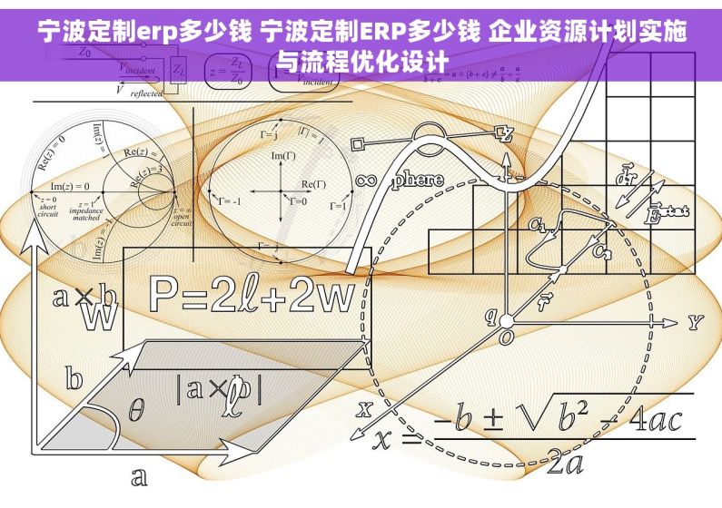 宁波定制erp多少钱 宁波定制ERP多少钱 企业资源计划实施与流程优化设计