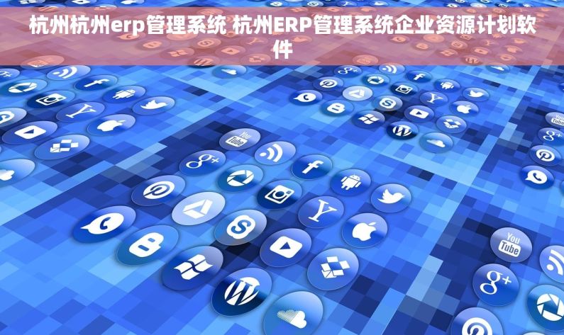 杭州杭州erp管理系统 杭州ERP管理系统企业资源计划软件