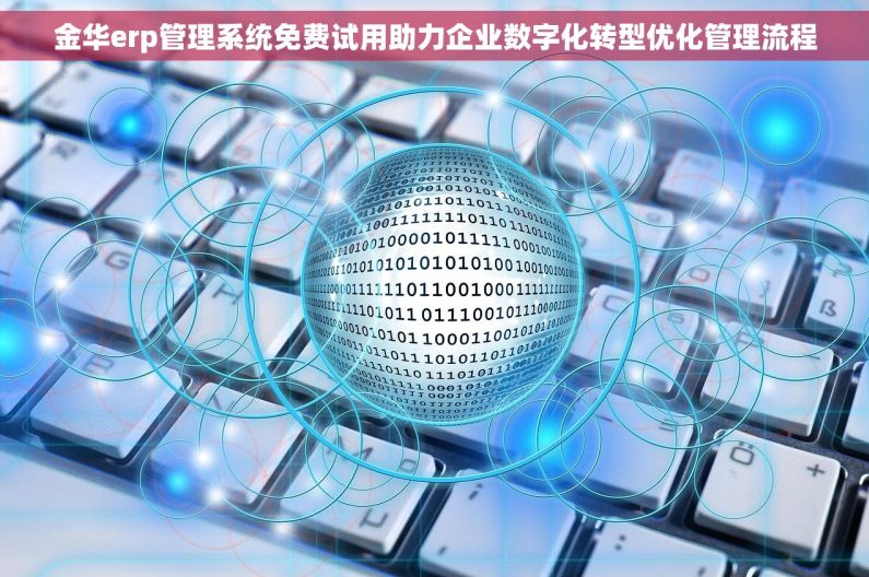 金华erp管理系统免费试用助力企业数字化转型优化管理流程