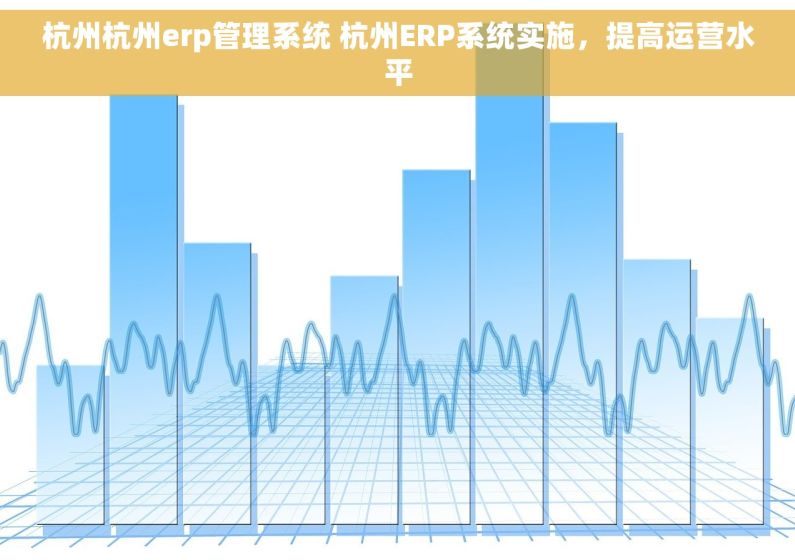 杭州杭州erp管理系统 杭州ERP系统实施，提高运营水平