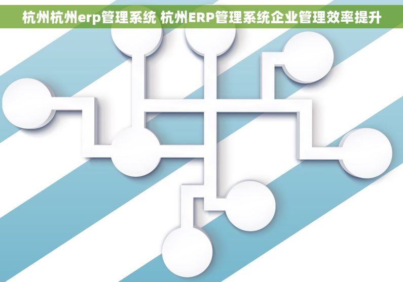 杭州杭州erp管理系统 杭州ERP管理系统企业管理效率提升