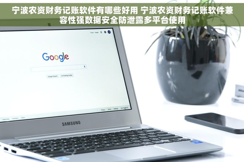 宁波农资财务记账软件有哪些好用 宁波农资财务记账软件兼容性强数据安全防泄露多平台使用
