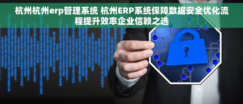 杭州杭州erp管理系统 杭州ERP系统保障数据安全优化流程提升效率企业信赖之选