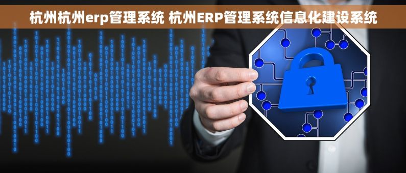 杭州杭州erp管理系统 杭州ERP管理系统信息化建设系统