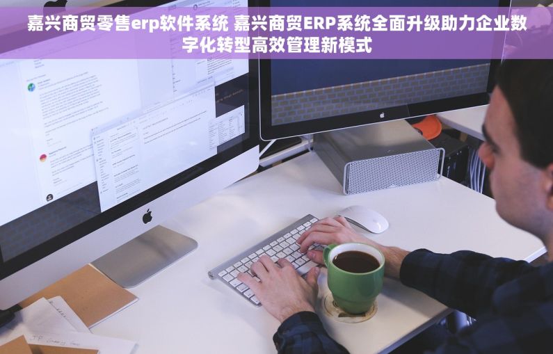 嘉兴商贸零售erp软件系统 嘉兴商贸ERP系统全面升级助力企业数字化转型高效管理新模式