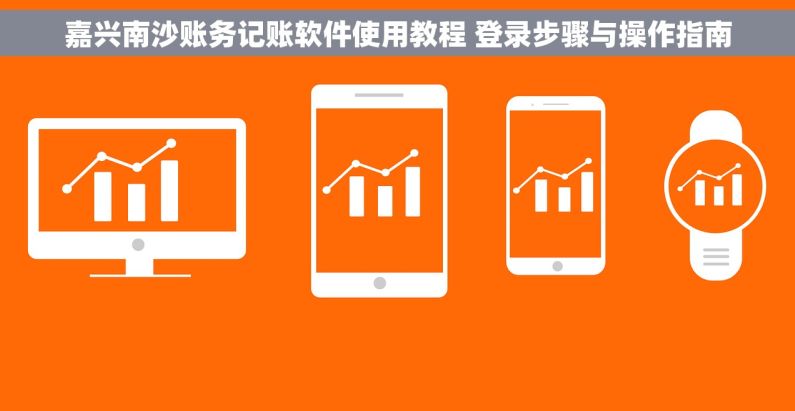 嘉兴南沙账务记账软件使用教程 登录步骤与操作指南