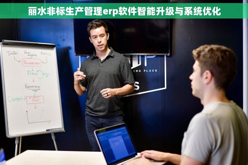 丽水非标生产管理erp软件智能升级与系统优化