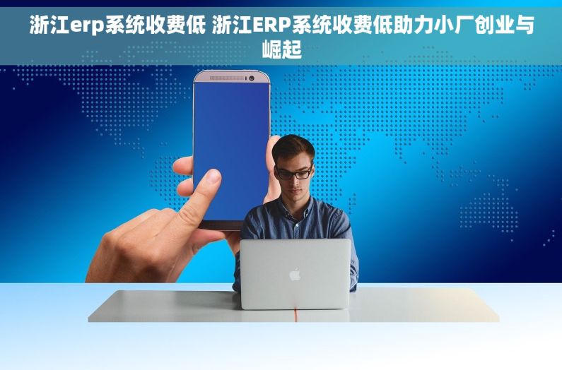 浙江erp系统收费低 浙江ERP系统收费低助力小厂创业与崛起