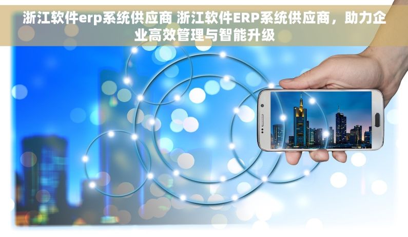 浙江软件erp系统供应商 浙江软件ERP系统供应商，助力企业高效管理与智能升级