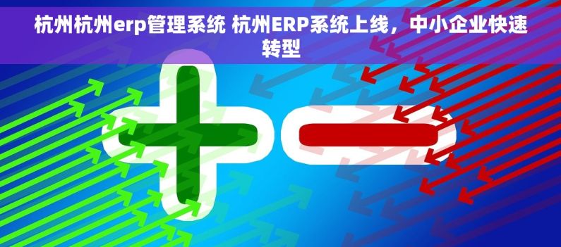 杭州杭州erp管理系统 杭州ERP系统上线，中小企业快速转型