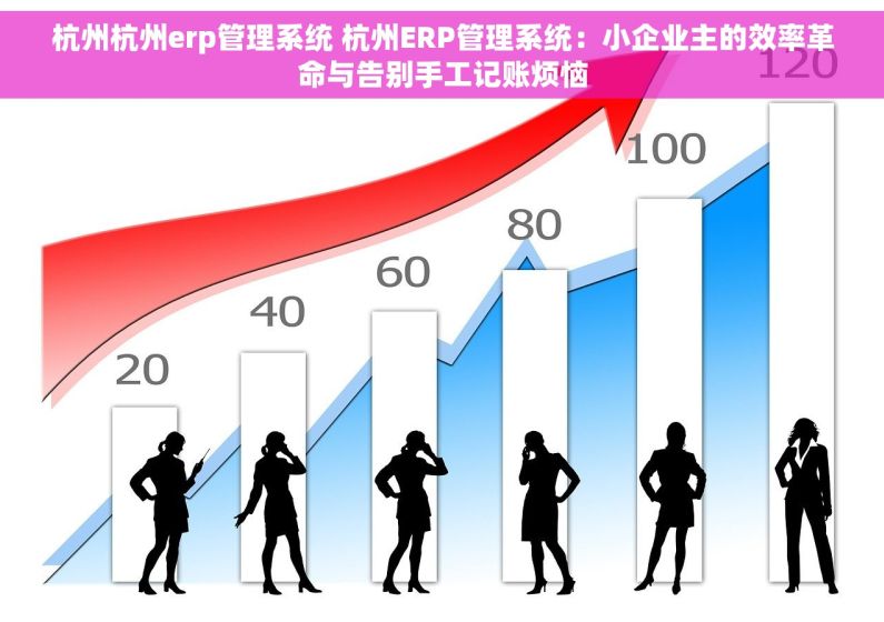 杭州杭州erp管理系统 杭州ERP管理系统：小企业主的效率革命与告别手工记账烦恼