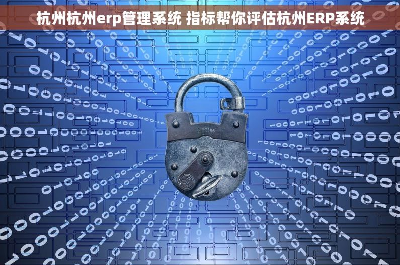 杭州杭州erp管理系统 指标帮你评估杭州ERP系统