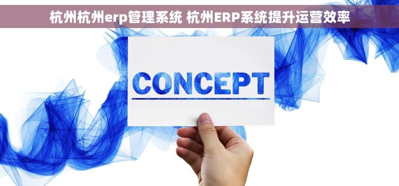 杭州杭州erp管理系统 杭州ERP系统提升运营效率