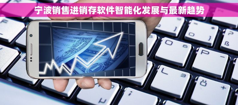 宁波销售进销存软件智能化发展与最新趋势