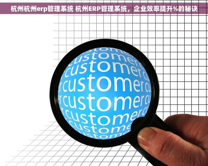 杭州杭州erp管理系统 杭州ERP管理系统，企业效率提升%的秘诀