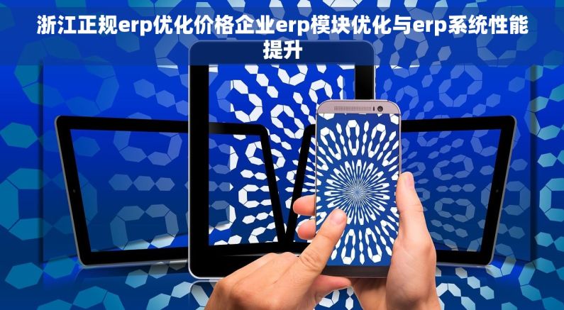 浙江正规erp优化价格企业erp模块优化与erp系统性能提升