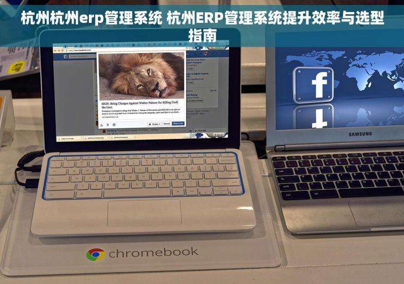 杭州杭州erp管理系统 杭州ERP管理系统提升效率与选型指南
