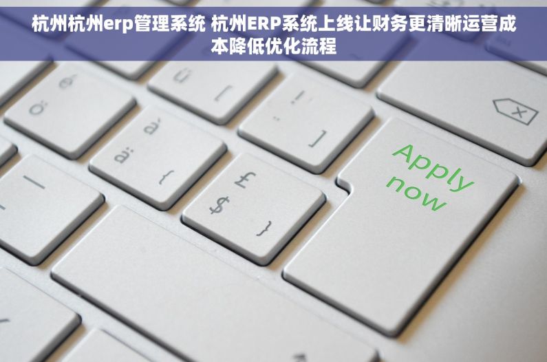 杭州杭州erp管理系统 杭州ERP系统上线让财务更清晰运营成本降低优化流程