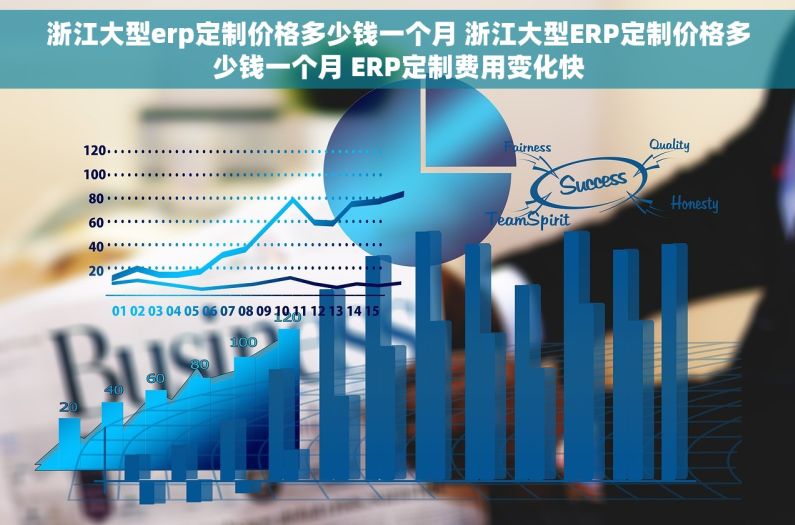 浙江大型erp定制价格多少钱一个月 浙江大型ERP定制价格多少钱一个月 ERP定制费用变化快