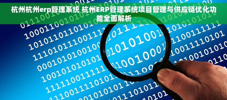 杭州杭州erp管理系统 杭州ERP管理系统项目管理与供应链优化功能全面解析